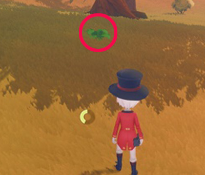 波西亞時光青蟲哪裡獲取？