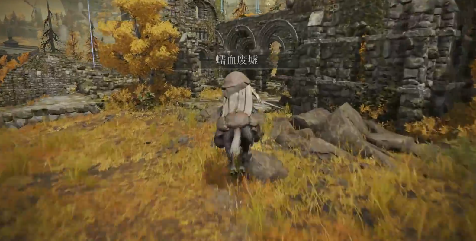 艾爾登法環蠕血廢墟位置在哪？