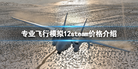 《專業飛行模擬12》多少錢？steam價格介紹