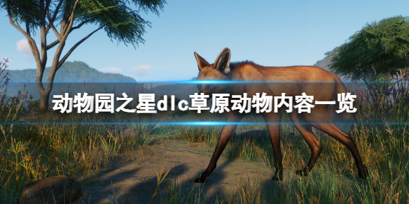 《動物園之星》草原動物有哪些內容?dlc草原動物內容一覽