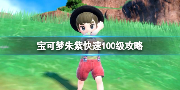 《寶可夢朱紫》怎麼快速100級？快速100級攻略
