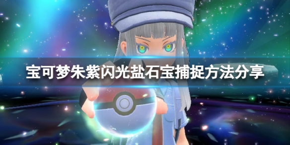 《寶可夢朱紫》閃光晶光花怎麼刷？閃光鹽石寶捕捉方法分享