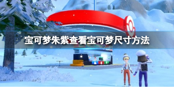 《寶可夢朱紫》怎麼查看寶可夢尺寸？查看寶可夢尺寸方法