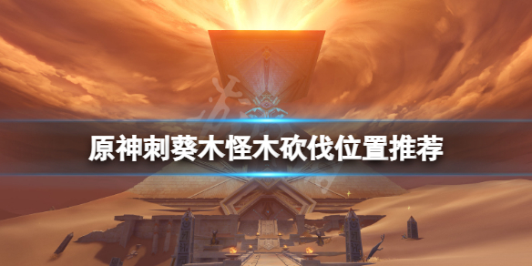 原神刺葵木在哪砍-原神刺葵木怪木砍伐位置推薦