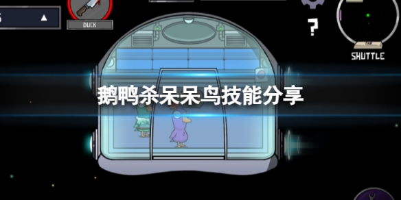 《鵝鴨殺》獃獃鳥技能是什麼？獃獃鳥技能分享
