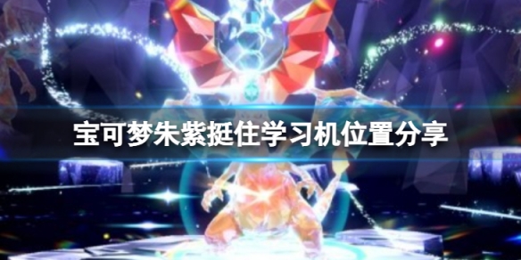 《寶可夢朱紫》挺住招式學習機在哪？挺住學習機位置分享