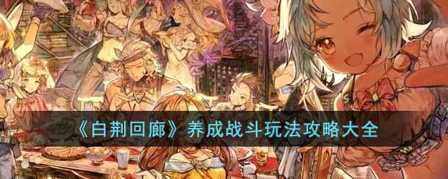 《白荊迴廊》養成戰斗玩法攻略大全