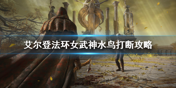 艾爾登法環女武神水鳥怎麼躲-艾爾登法環女武神水鳥打斷攻略