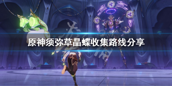 《原神》須彌草晶蝶收集路線分享 須彌草晶蝶分布圖