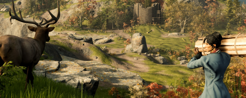 夜鶯有什麼特色內容