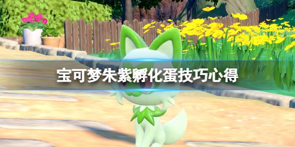 《寶可夢朱紫》孵化蛋技巧心得 怎麼孵化蛋？