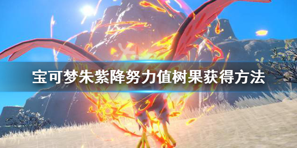 《寶可夢朱紫》怎麼洗努力值？降努力值樹果獲得方法