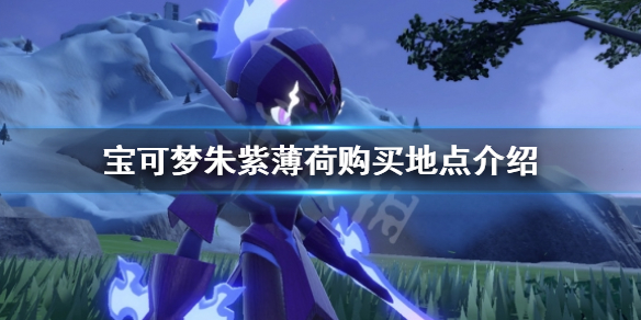 《寶可夢朱紫》薄荷哪裡買？薄荷購買地點介紹