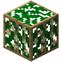 《我的世界》魔法金屬花格箱怎麼獲得