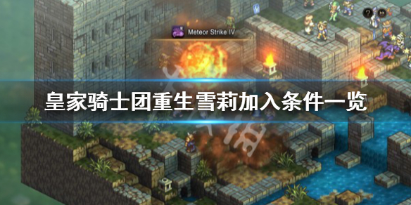 《皇家騎士團重生》雪莉怎麼收？雪莉加入條件一覽