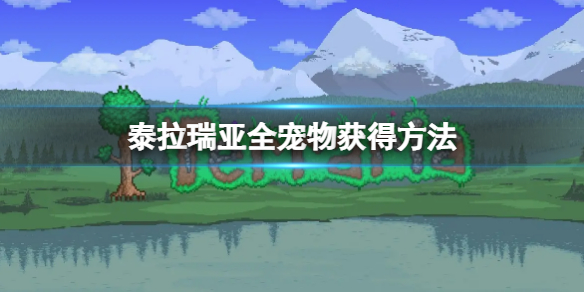 泰拉瑞亞全寵物獲得方法 泰拉瑞亞寵物獲得方法大全