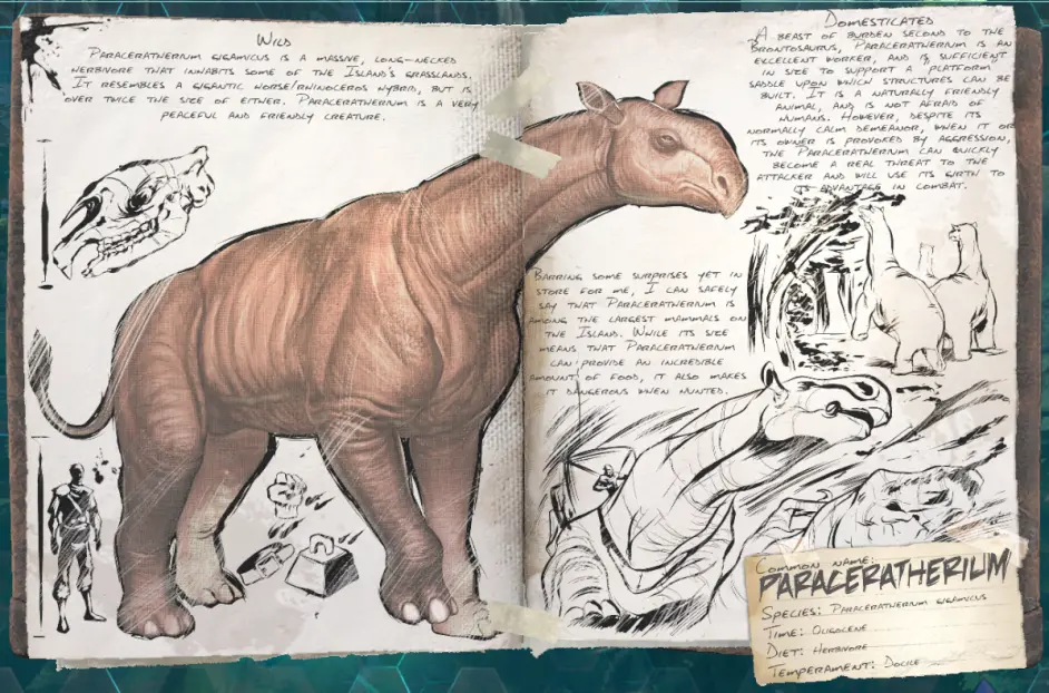 方舟巨犀有必要抓嗎？