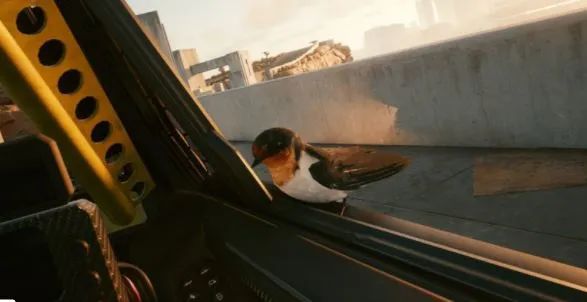 《賽博朋克2077》粉絲似乎找到了和希里有關的線索