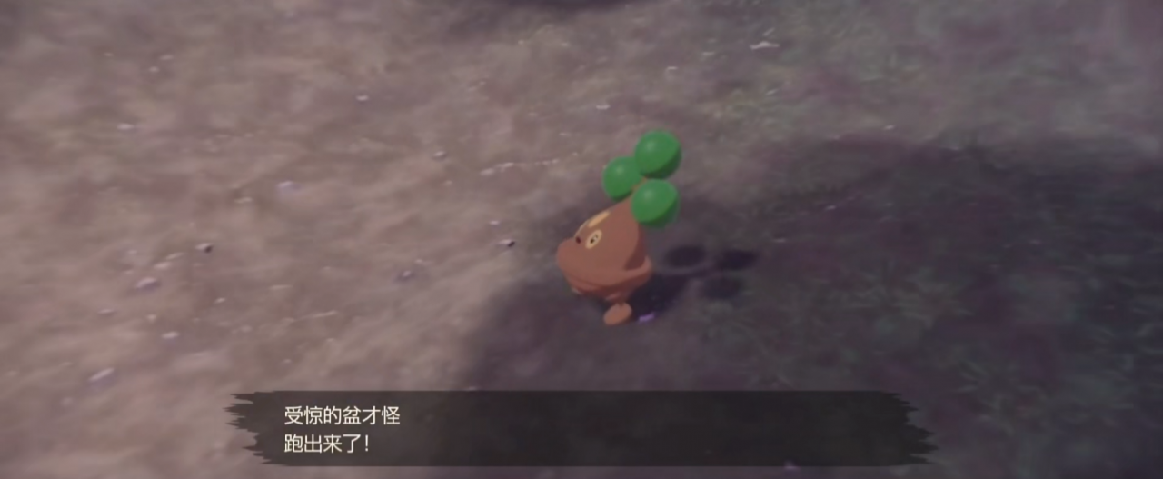 寶可夢阿爾宙斯盆才怪在哪？