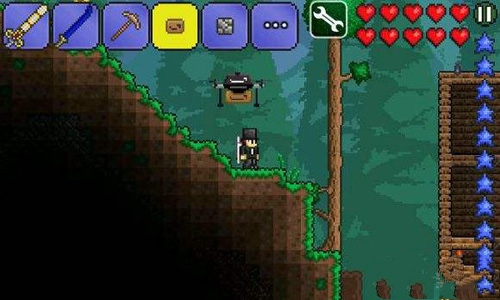 泰拉瑞亞小動物友誼指南有什麼用？