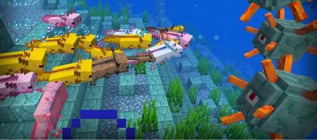 我的世界娃娃魚怎麼養？