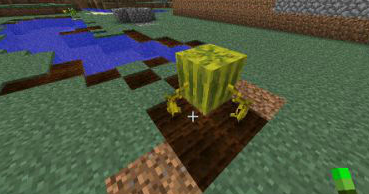 我的世界西瓜種子怎麼獲得？