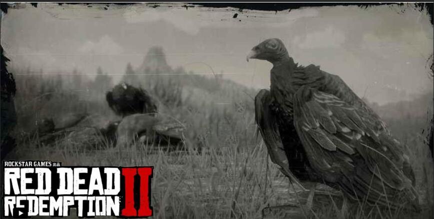 荒野大鏢客2禿鷲位置是哪裡？