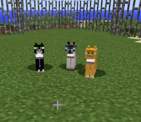 我的世界貓怎麼抱起來？