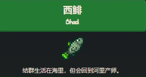 星露穀物語西鯡魚在哪裡釣？
