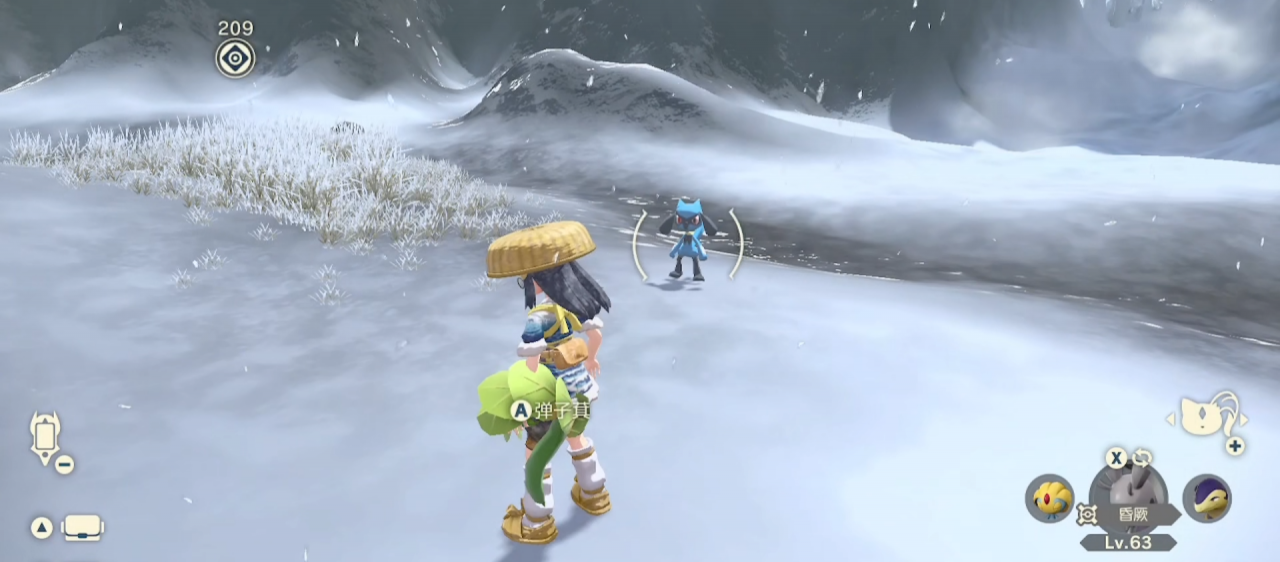 阿爾宙斯利歐路在哪？