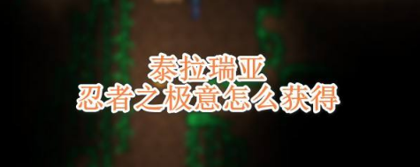 泰拉瑞亞忍者之極意怎麼獲得？