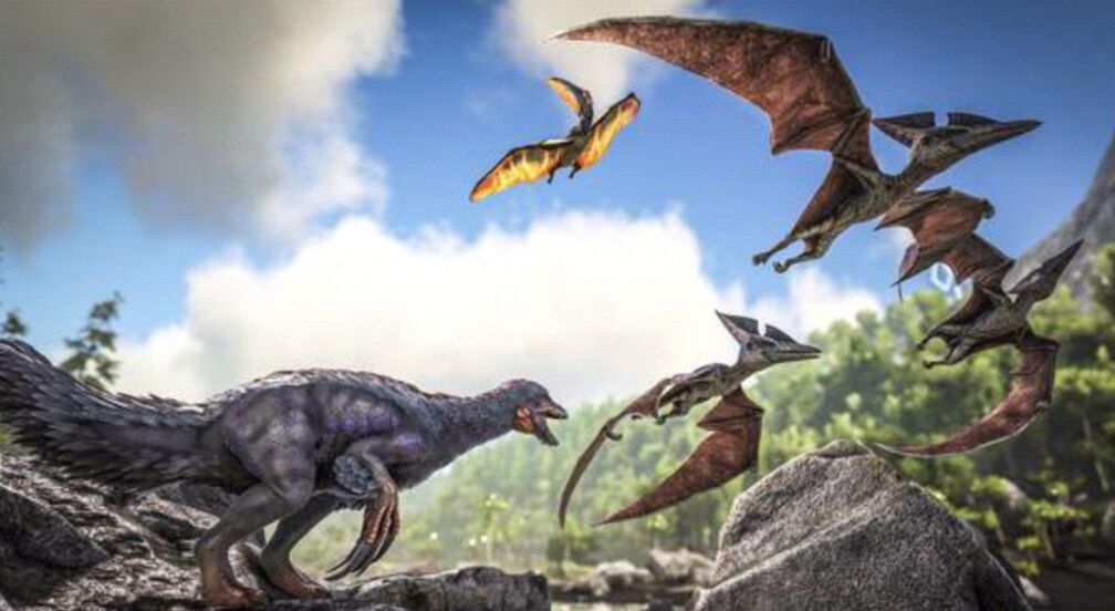 方舟：生存進化垂直同步在哪？