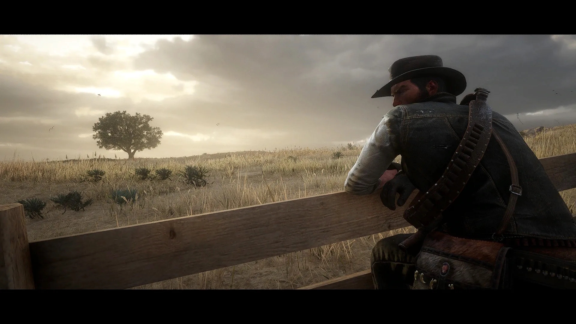 荒野大鏢客2磁碟寫入錯誤是什麼意思？