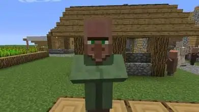 我的世界村民吃什麼食物？