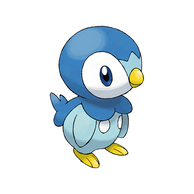 寶可夢阿爾宙斯圓企鵝在哪?