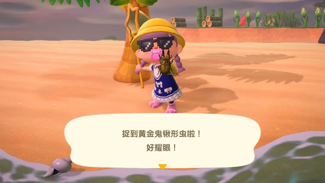 《集合啦！動物森友會》7月份北半球生物資料與收集難點心得