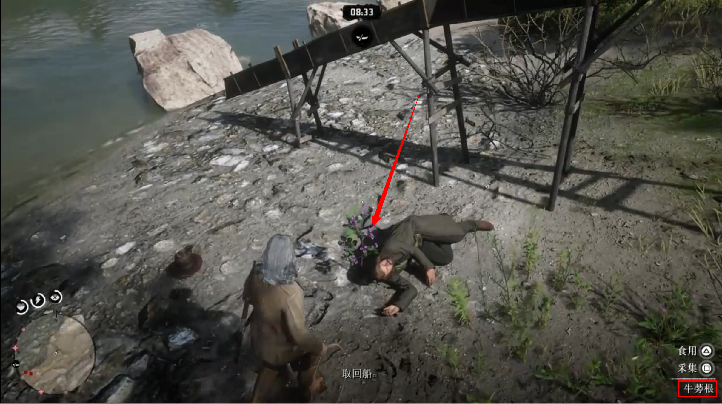 荒野大鏢客2牛蒡根在哪？