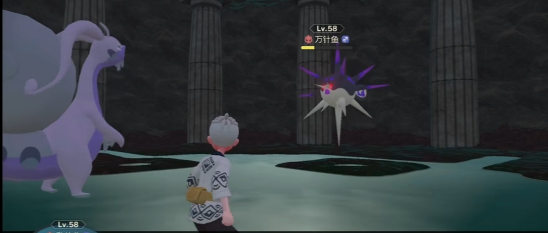 寶可夢阿爾宙斯萬針魚在哪?