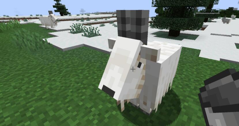 我的世界山羊有什麼用？