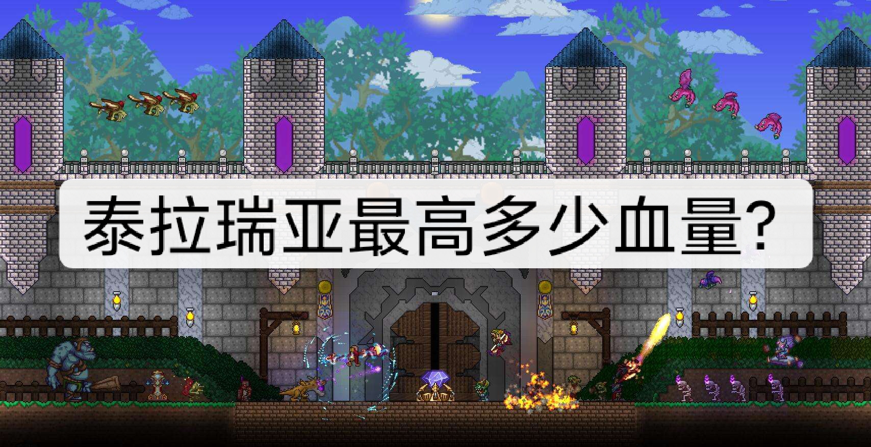 泰拉瑞亞最高多少血？