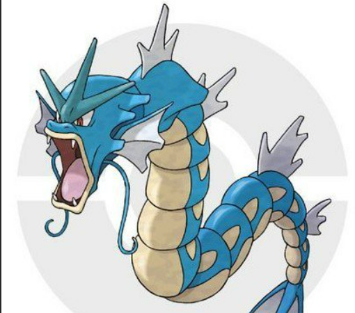 阿爾宙斯暴鯉龍怎麼配招？