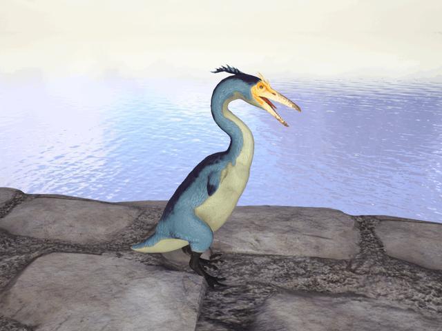 方舟黃昏鳥有什麼用途？