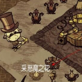 飢荒惡魔之花是什麼意思？