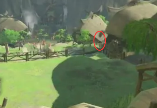 塞爾達與普莉珂捉迷藏分別躲在了哪裡？