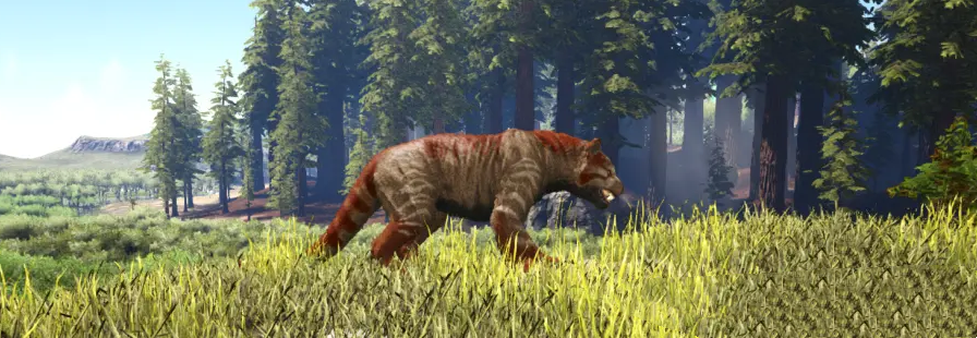 方舟袋獅有什麼用？