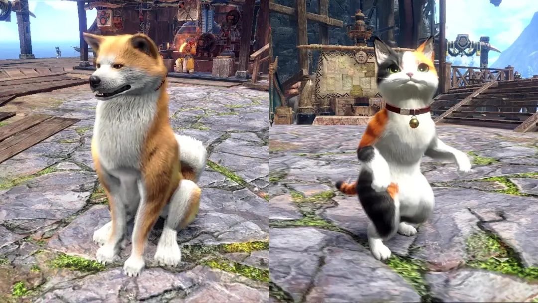 《怪物獵人崛起：曙光》追加特典 名犬、花狸貓外觀裝備