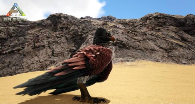方舟老鷹吃什麼馴服？