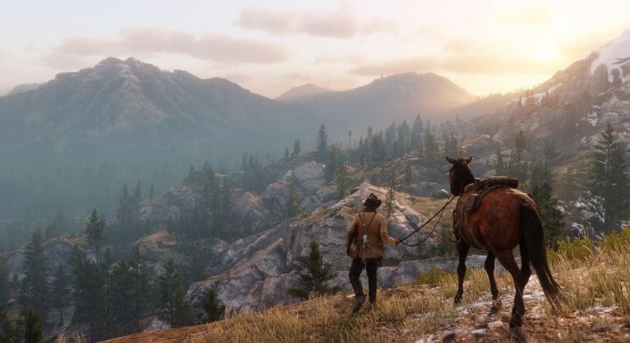 荒野大鏢客2花旗參哪裡多？