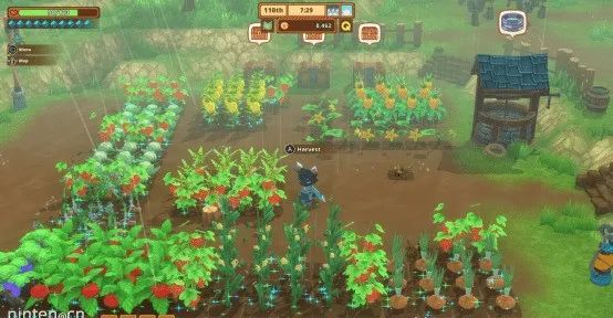 RPG版動森《Kitaria Fables》9月2日登陸switch