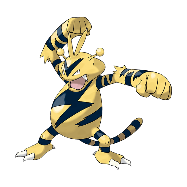 阿爾宙斯電擊獸走特攻還是物攻？